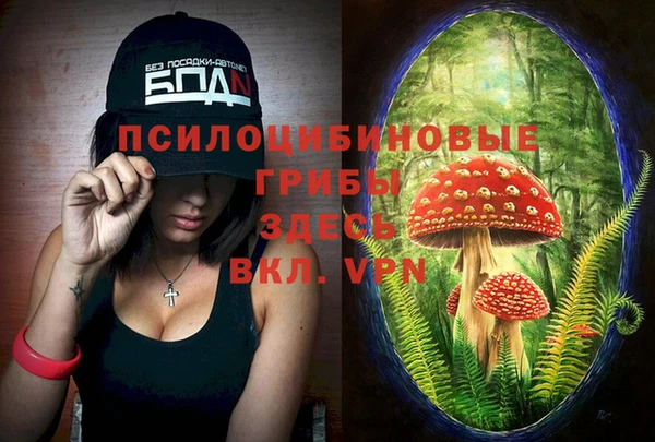 спайс Заволжье