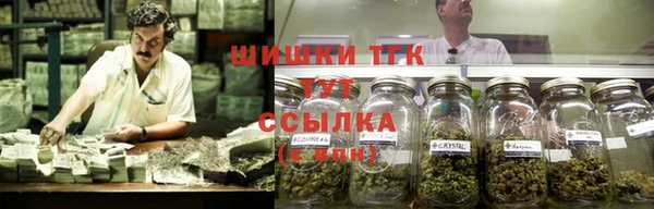 соль ск Заводоуковск